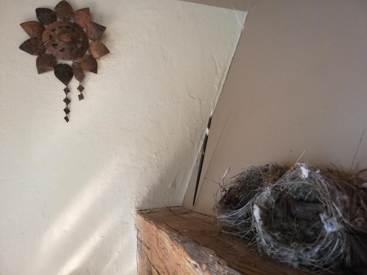 شقة Casa Delle Ginestre تشيزينا المظهر الخارجي الصورة
